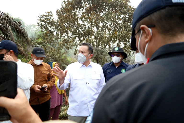 Atasi Kebakaran Gambut di Kalimantan Barat, Wamen LH Dorong Swasta Bangun Sekat Kanal