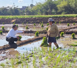 Sidak Sawah di Semarang, Mentan Amran Dengar Keluhan Petani, Langsung Hadiahi Traktor